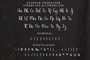 Franchie, a Handwritten Font by FreshTypeINK (Thumbnail 8 of 8)