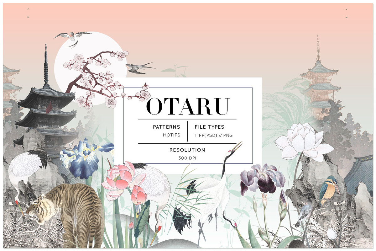 Otaru, luxurious and elegance!, a Wallpaper Graphic by Pink Linen (Photo 1 of 11)