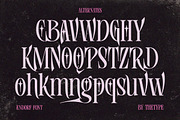ENDORF | FONT, a Serif Font by The_Type (Thumbnail 9 of 12)