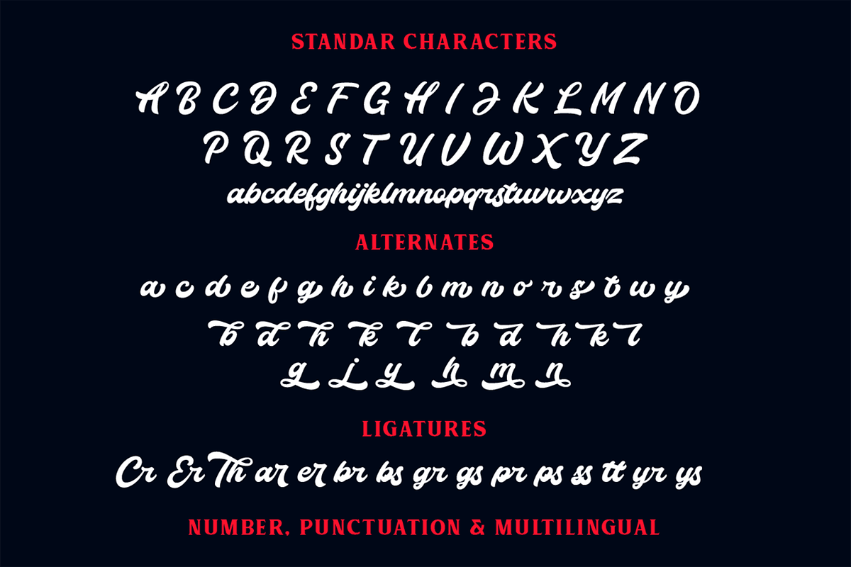 Thunder Script, a Script Font by hastatypestd (Photo 8 of 10)