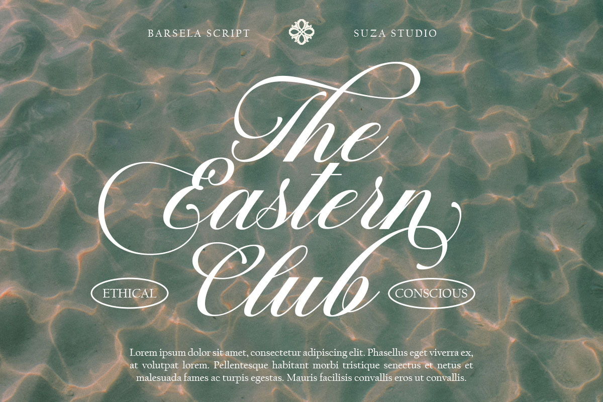 Barsela Calligraphy, a Script Font by Suza Studio (Photo 8 of 12)