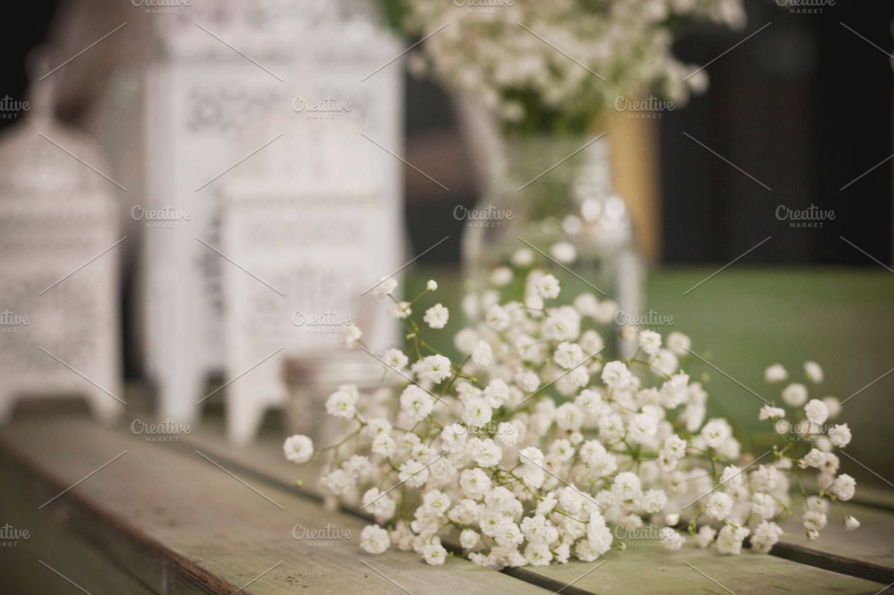 White Flowers 3 Stock Picture