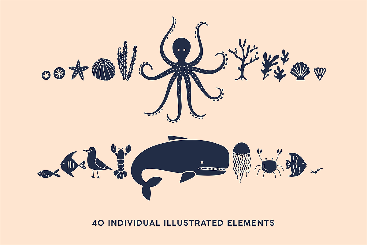 Nautical Vector Illustration pack, an Illustration by Soph Rowe (Photo 3 of 8)