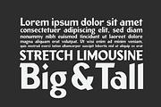 Wide Nib, a Sans Serif Font by Doug Best Foundry (Thumbnail 3 of 3)