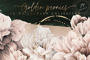 Golden peonies, watercolor, a Texture Illustration by ollalya (Thumbnail 1 of 17)