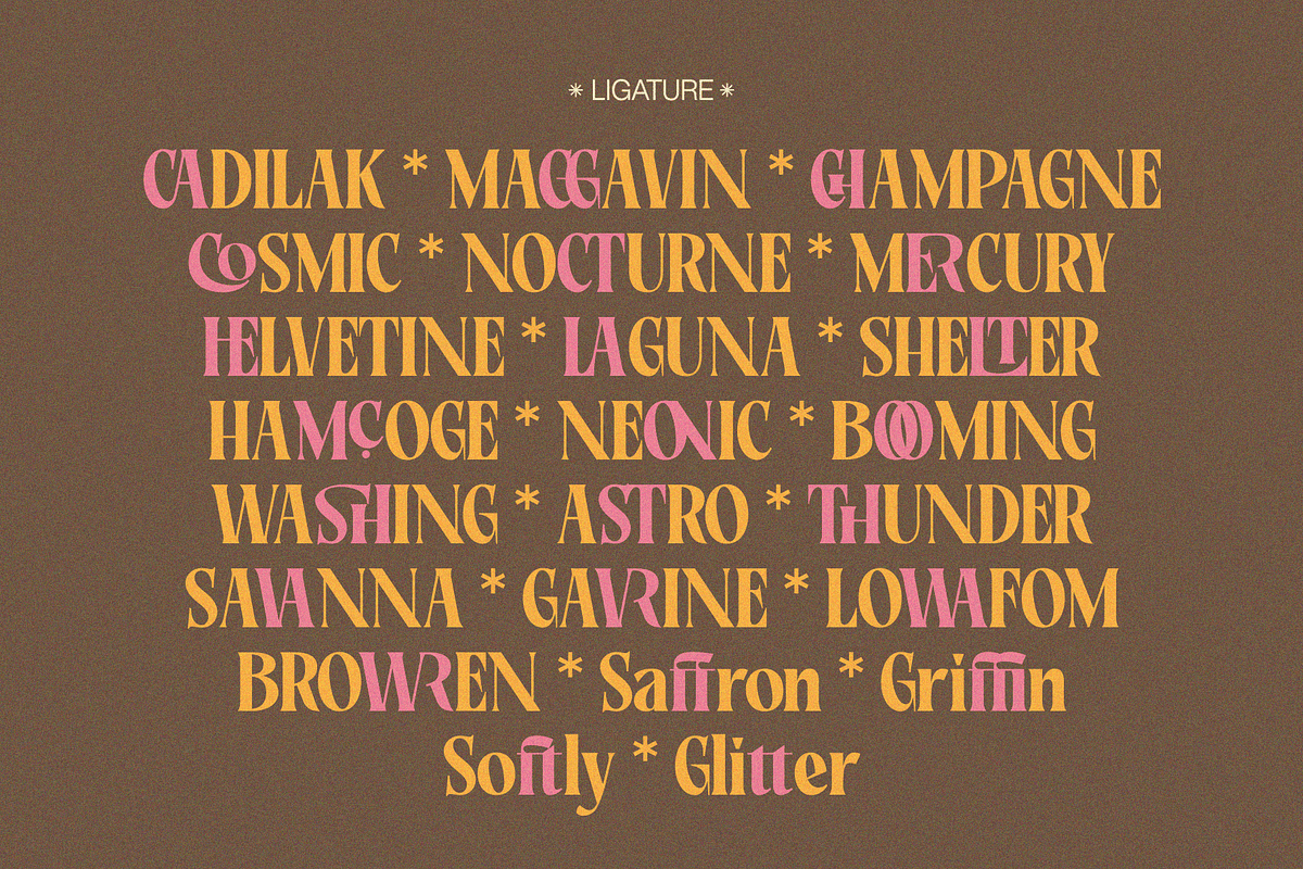Rakizen Bisrony — Modern & Classic, a Serif Font by Enxyclo Studio (Photo 13 of 23)