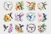 Watercolor Hummingbird Clipart, a Seasonal Illustration by Design Market (Thumbnail 4 of 5)