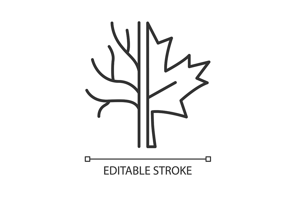 Maple tree linear icon, an Outline Icon by IMG Visuals