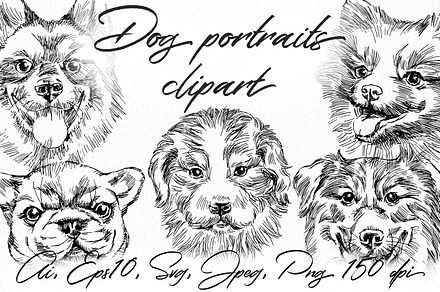 Dog portraits vector clipart