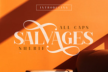 SALVAGES BOLD | SERIF FONT