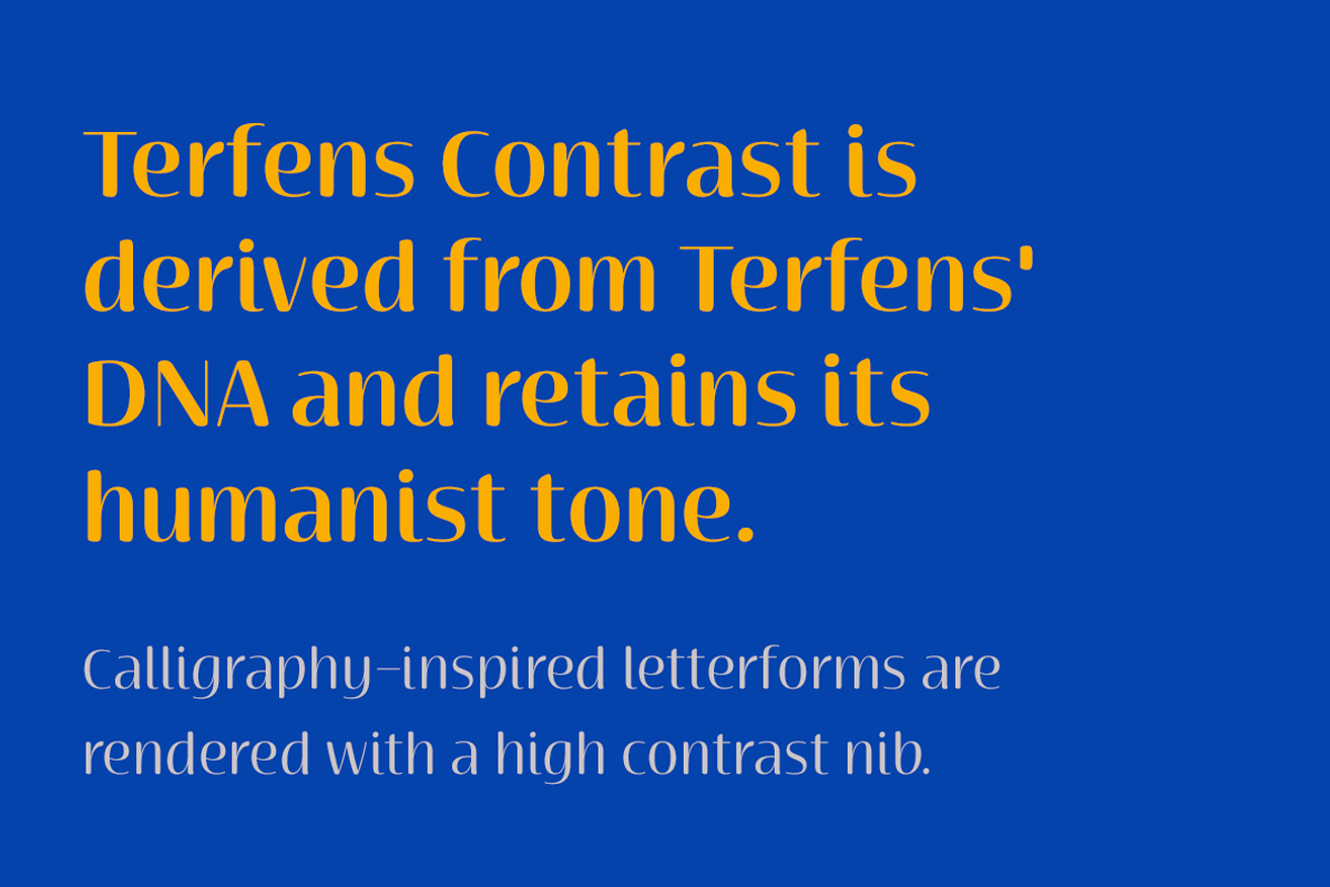Terfens Contrast, a Sans Serif Font by insigne (Photo 4 of 5)
