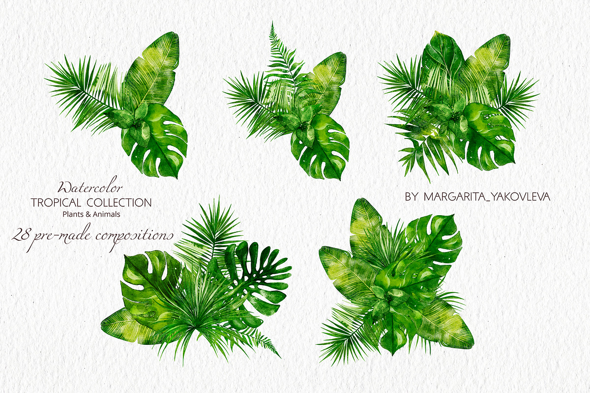 Tropical Collection Watercolor, a Decorative Illustration by Yakovleva Margarita (Photo 6 of 20)