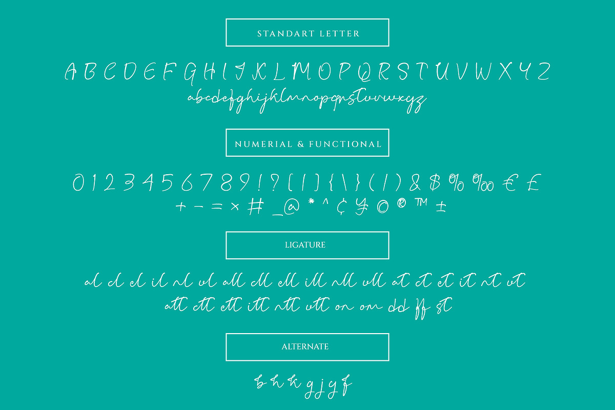 Bargoli Elegant Script Font, a Script Font by Bilahstudio (Photo 10 of 11)