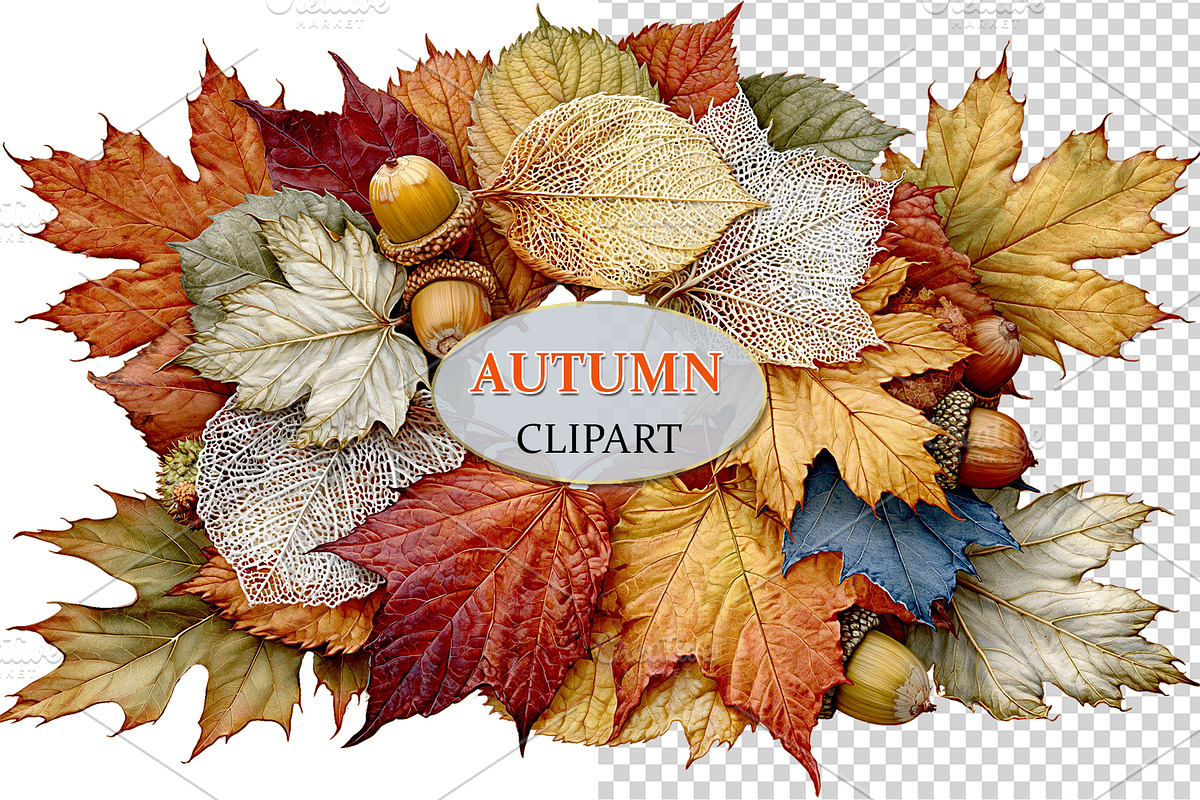 Luxury Clipart Autumn Leaves Wreath, a Decorative Illustration by Area (Photo 15 of 40)