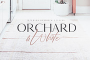 Joules et Jacques Font Duo, a Handwritten Font by Nicky Laatz (Thumbnail 4 of 20)