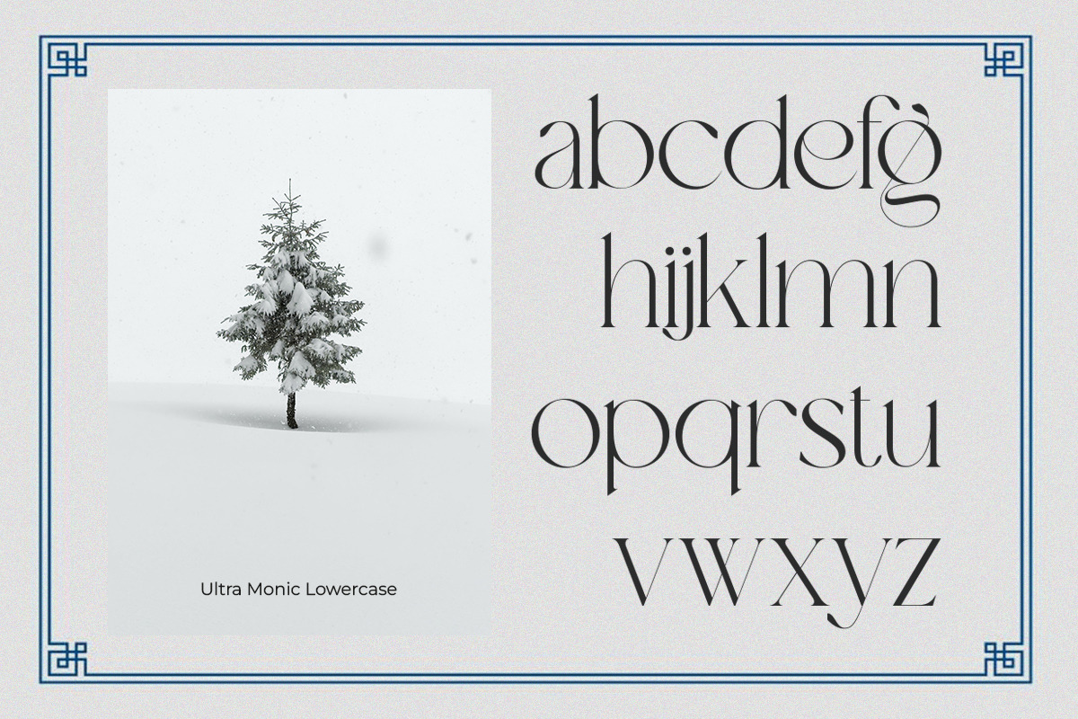 Ultra Monic | Serif Display, a Serif Font by Taboja Studio (Photo 8 of 10)