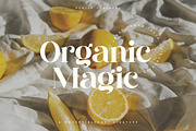 Purity - Modern Ligature Font, a Serif Font by TypeFounder (Thumbnail 6 of 11)