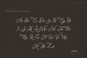 Thequilla - Monoline Script Font, a Script Font by Rometheme Std (Thumbnail 5 of 7)