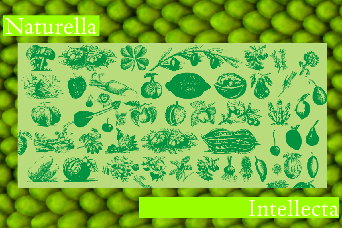 Naturella, organic dingbats