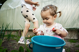 Young child playing with fresh strawberries in a garden setting with siblings, a Person Photo by AS photostudio