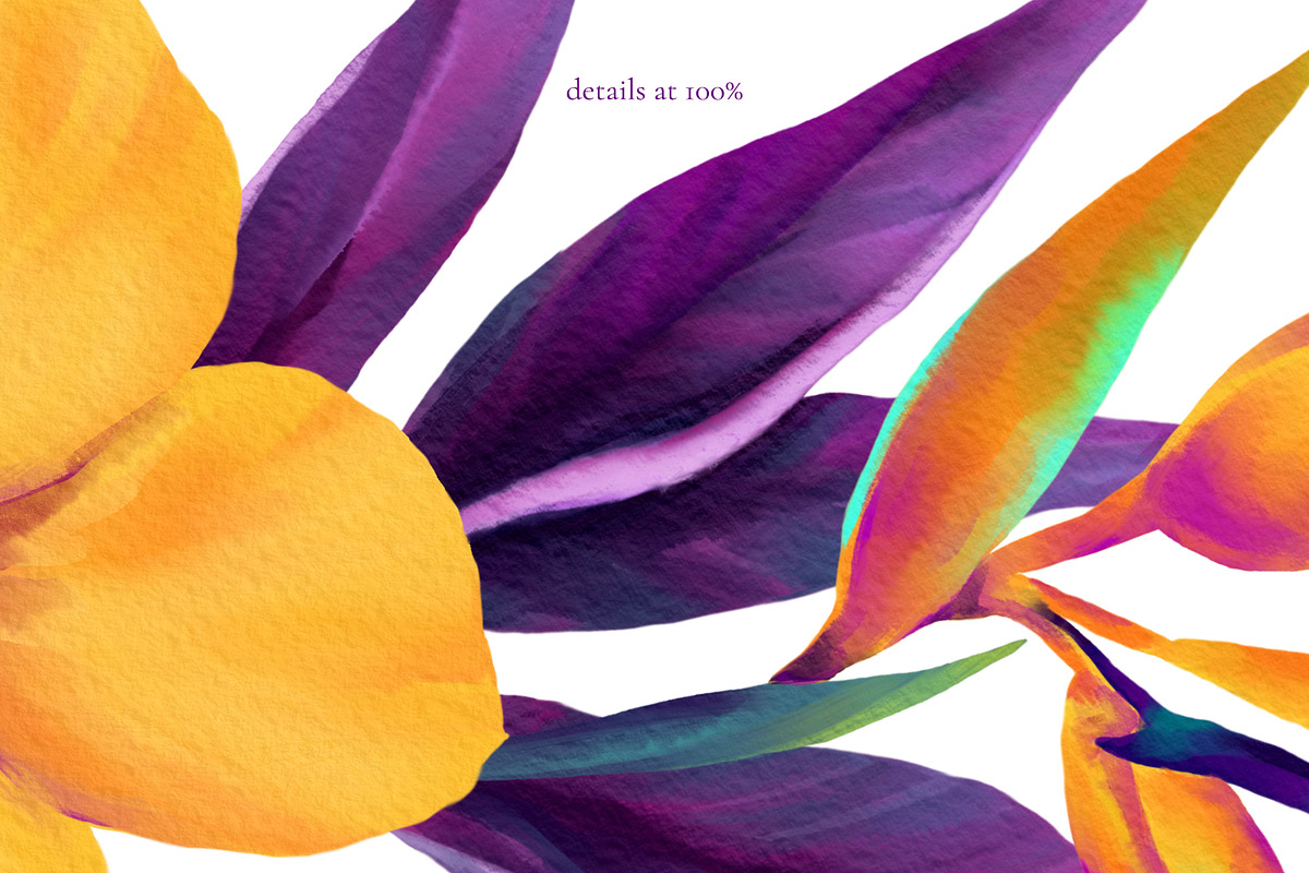 Neon Tropics watercolor, an Object Graphic by Salted Galaxy (Photo 16 of 16)