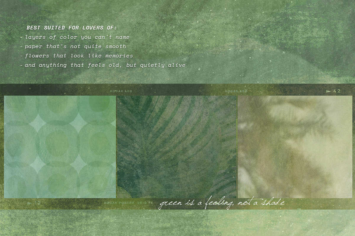 FloraVerde: Botanical Backgrounds, a Background Graphic by alonahaidash (Photo 3 of 12)