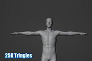Male Human Base Mesh – Rigged, a Characters & Person 3D Model by Casa Mandarina (Thumbnail 5 of 8)