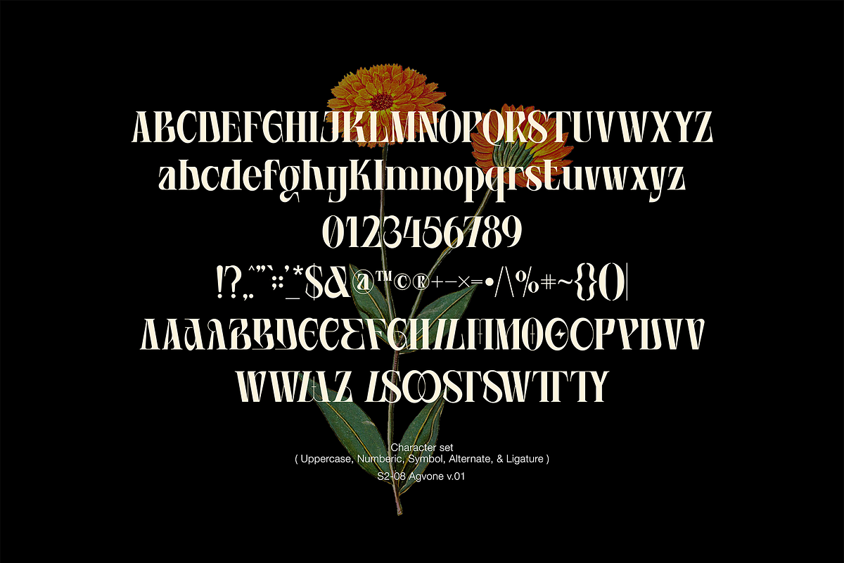 Agvone - Display Font, a Serif Font by Uncarving (Photo 2 of 13)