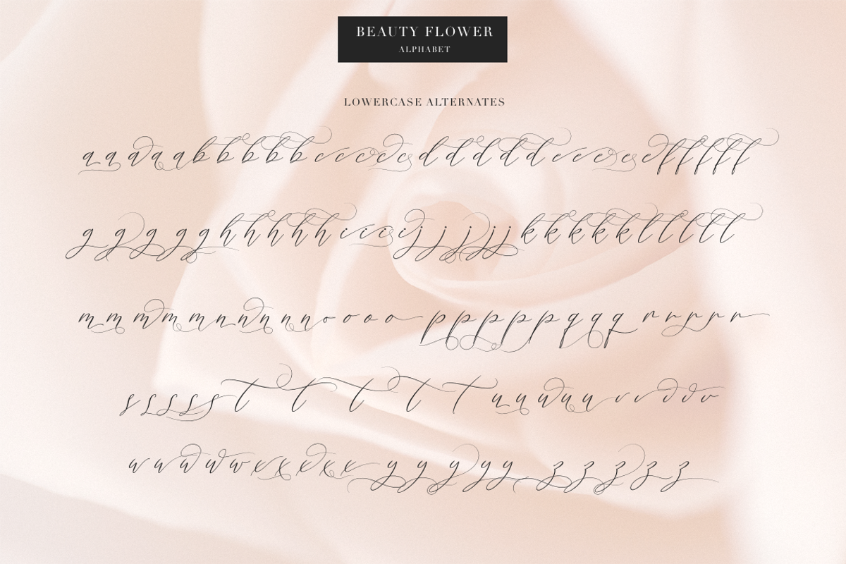 Beauty Flowers, a Script Font by Larin Type Co. (Photo 12 of 13)