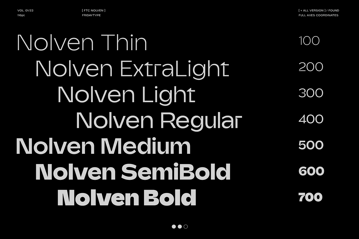 FTC Nolven Grotesk, a Sans Serif Font by Fridaytype (Photo 3 of 9)