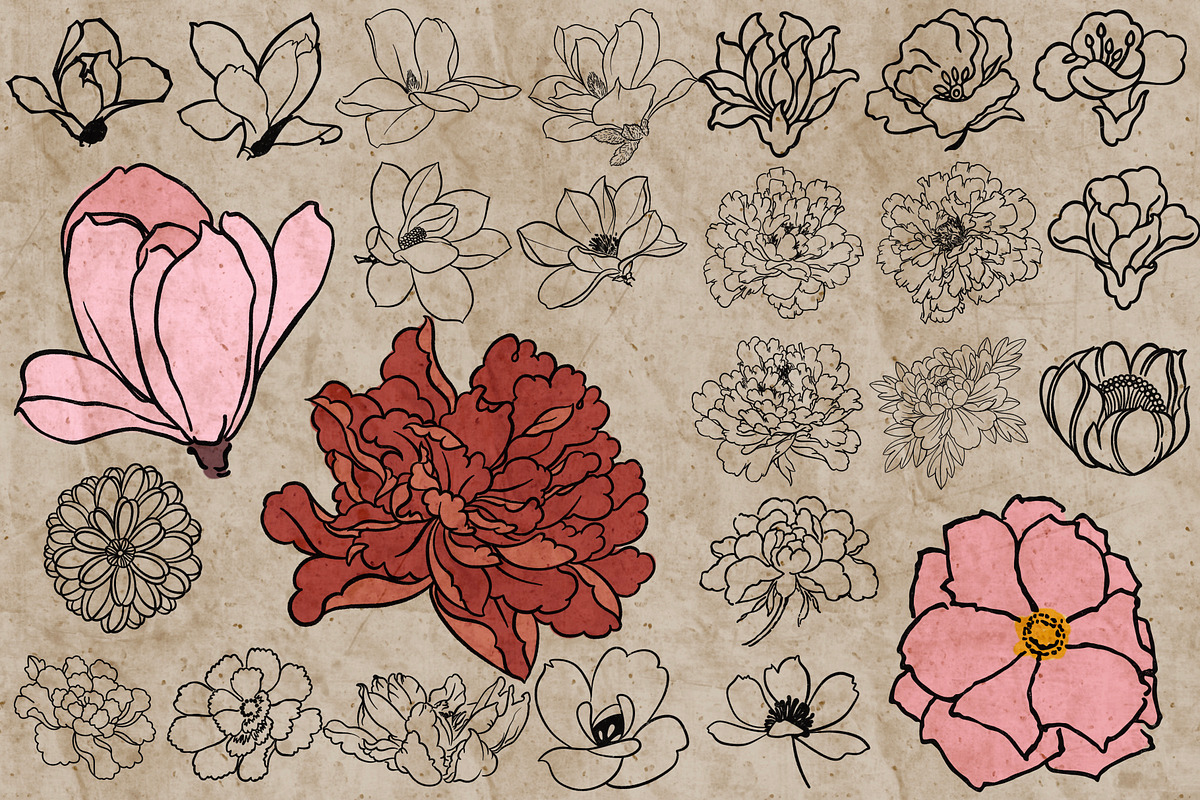 Flower heads stamps for Procreate, a Brush Add-On by TheWhiteCatLab (Photo 5 of 7)
