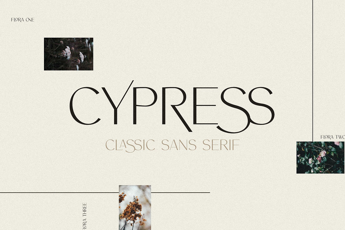 Modern Logo Sans Font Bundle, a Sans Serif Font by Jen Wagner Co (Photo 19 of 39)