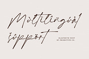 Blastmith - Stylish Signature Font, a Script Font by Prioritype Co (Thumbnail 12 of 12)