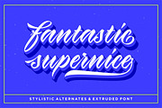 Virmana Script, a Script Font by Solidtype (Thumbnail 8 of 10)