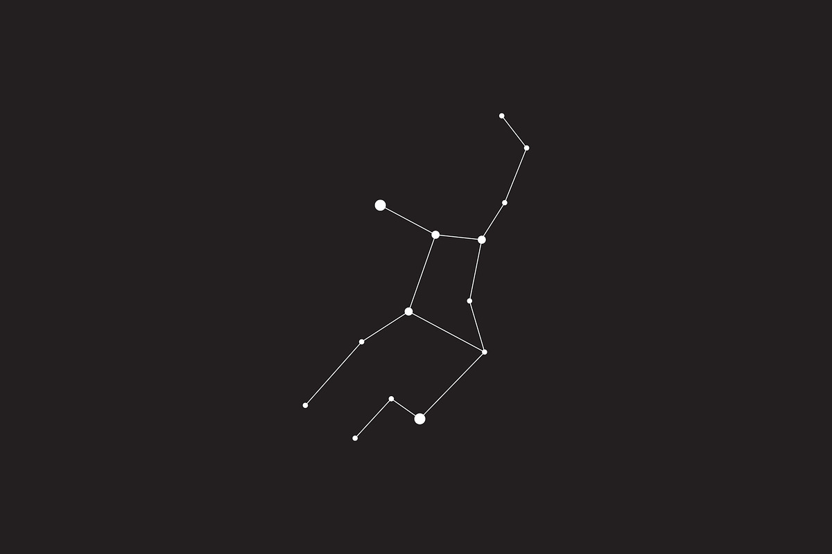 12 Vector Constellation Signs, an Illustration by Kessens