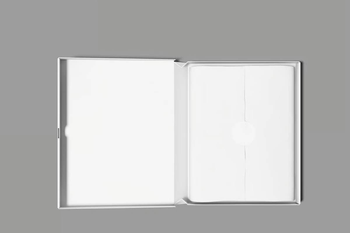 Cardboard Mailer Box Mockup, a Packaging Mockup by graphicsauce (Photo 4 of 4)