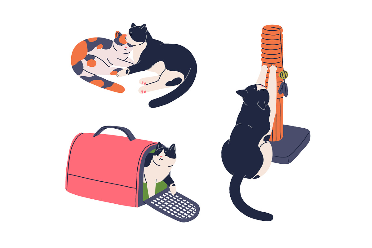 Cute funny cat activities set, an Animal Illustration by Good Studio