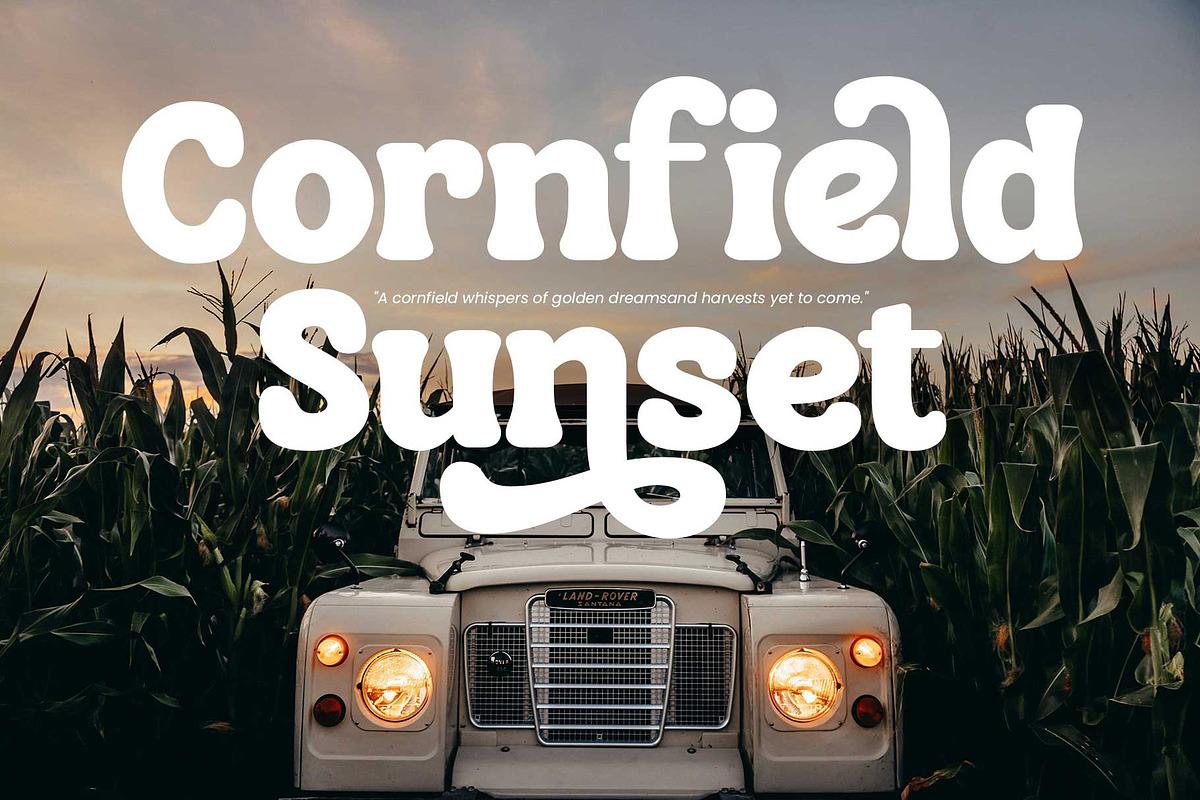 Renila - Retro Bold, a Font by Novitype (Photo 12 of 13)