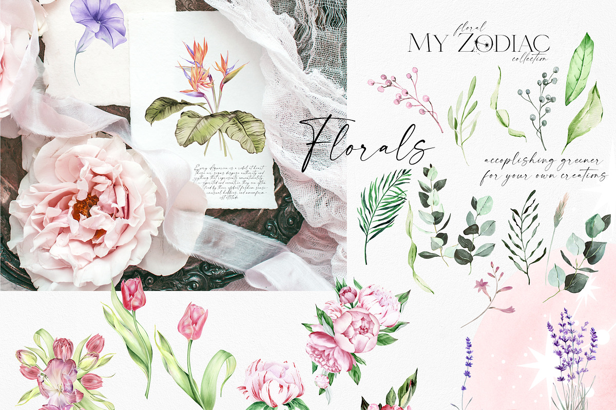 Watercolor Floral Zodiac, an Object Illustration by Olga Koelsch (Photo 7 of 9)