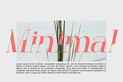 Decoslice, a Serif Font by Muksal Creative (Thumbnail 4 of 10)