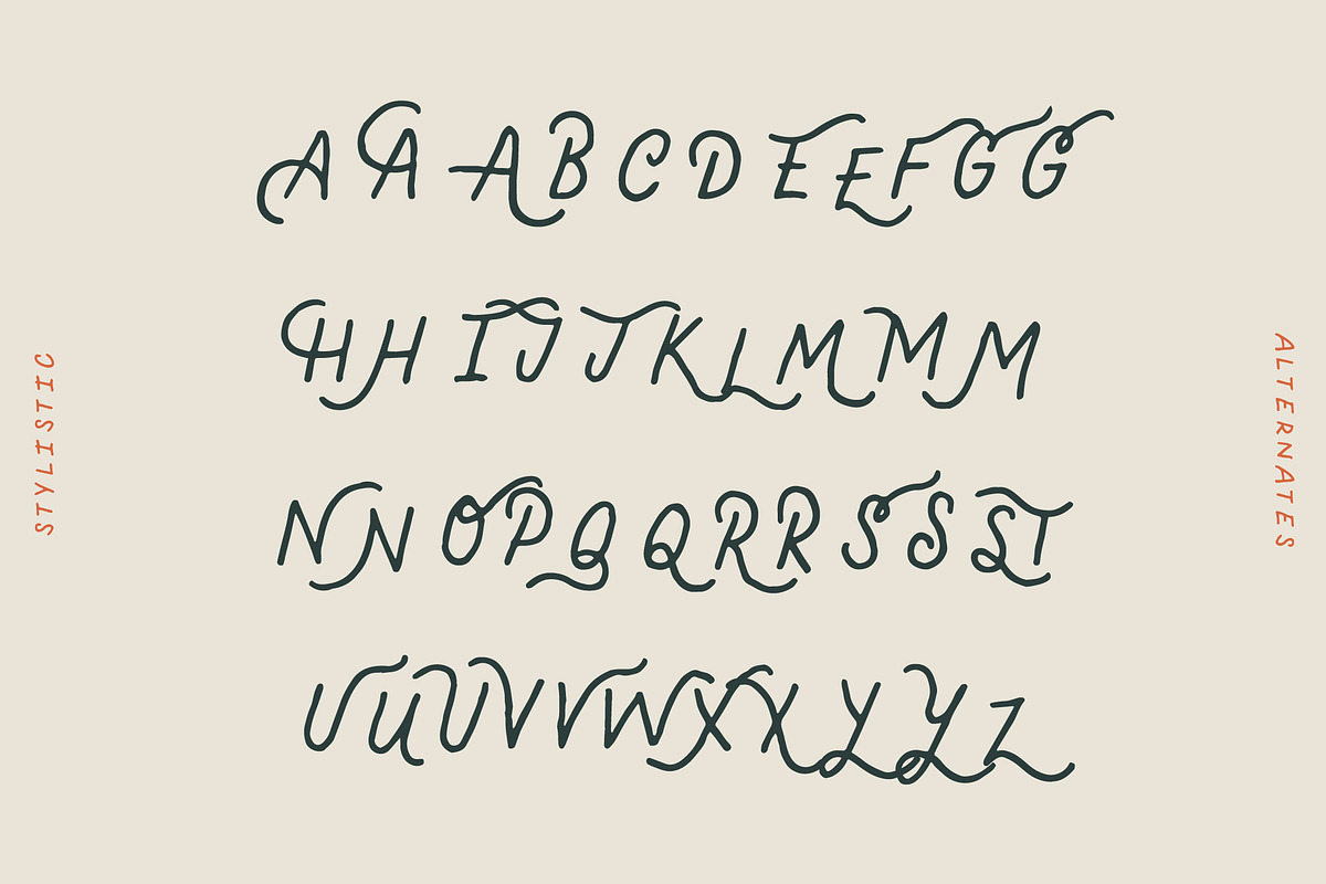 Cactus Flower - Handwritten Font, a Font by Creative Type (Photo 5 of 7)