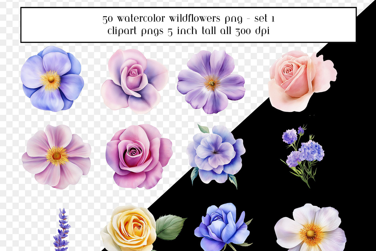 50 Watercolor Painted Wildflowers, an Object Graphic by AllTheKewtClipart (Photo 3 of 5)