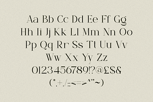 Roughly Begather - Elegant Typeface