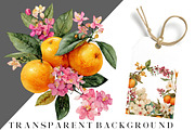 Watercolor Flower And Orange Clipart, an Illustration by DreamCafeArt (Thumbnail 7 of 7)