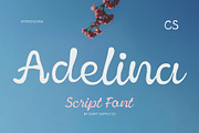 CS Adelina – Script Font, a Script Font by Craft Supply Co. (Thumbnail 1 of 8)