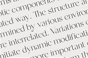 Mango - Modern Serif, a Serif Font by Sans & Sons (Thumbnail 4 of 10)
