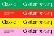 Matrixgi High-Contrast Decorative, a Serif Font by timelesstype.co (Thumbnail 4 of 10)
