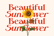 Belma Moghena - Decorative Serif, a Serif Font by Bring To Type (Thumbnail 3 of 10)