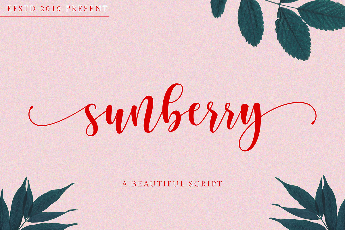 Sunberry | Beautiful Script, a Script Font by Ef Studio (Photo 1 of 12)