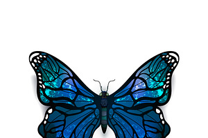 Beautiful Blue Detailed Butterfly